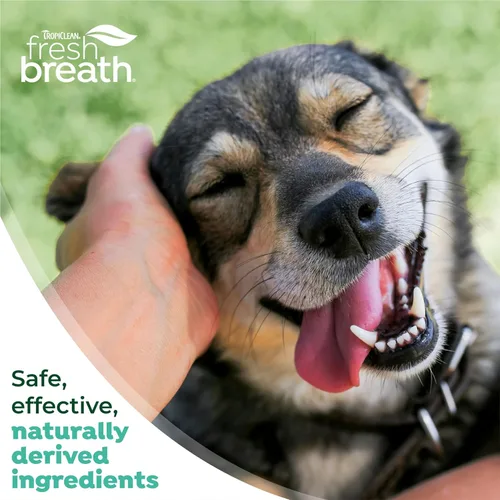 Miniatura 8 de TropiClean Sistema de cuidado total de control de aliento y sarro fresco para perros grandes Pasta de dientes y cepillo para perros Gel dental