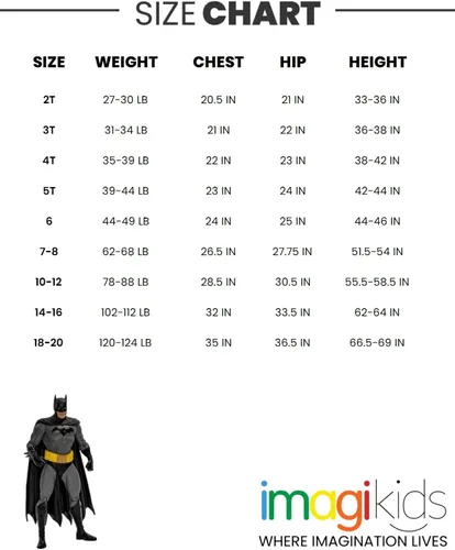 Miniatura 3 de DC Comics Justice League Superman Batman The Flash - Sudadera de forro polar con capucha para niños pequeños y grandes