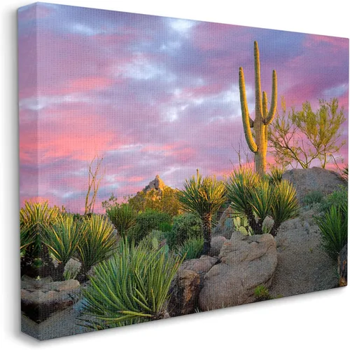 Miniatura 2 de Stupell Industries Lienzo decorativo para pared, diseño de plantas de cactus áridos con salida del sol rosa, diseño de Dennis Frates