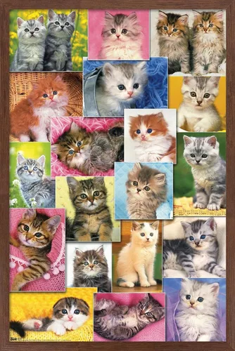 Miniatura 10 de Trends International Keith Kimberlin - Póster de pared de collage de gatitos, 14.725 x 22.375 pulgadas, versión enmarcada de madera de granero