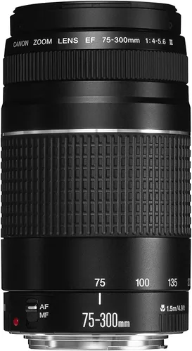 Objetivo zoom telefoto Canon EF 75-300mm f/4-5.6 III para cámaras Canon SLR