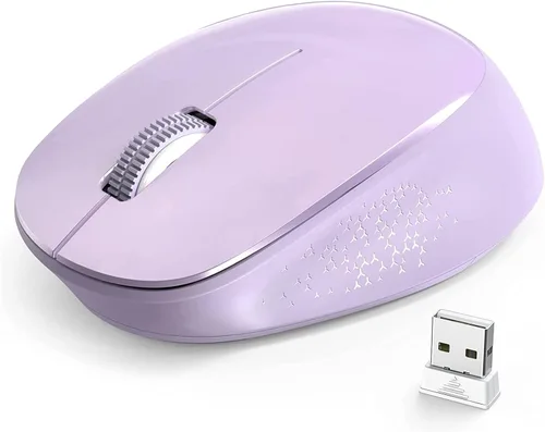 YXLILI Ratón inalámbrico para computadora portátil, ergonómico, mouse óptico silencioso portátil con receptor USB, 1600 DPI para laptop, Windows,