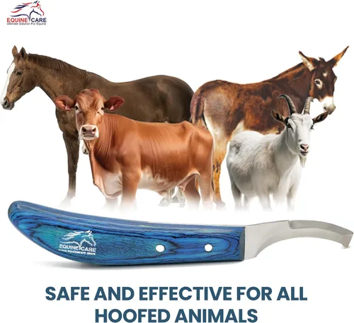 Miniatura 7 de Equine Care Cuchillo de pezuña para zurdos – Hoja de acero inoxidable J2 afilada de doble filo, mango ergonómico de hoja – Recortadora profesional