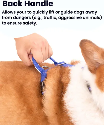 Miniatura 5 de Arnés para perro no restrictivo, fácil libertad de caminar, arnés sin tirones, mantiene el equilibrio, hebilla de cuello, ajuste de seis puntos, 2