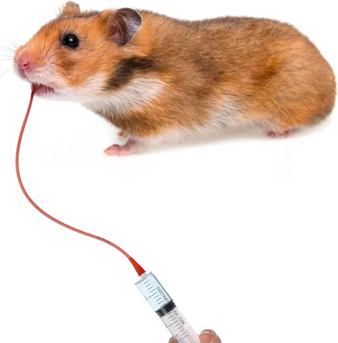 Miniatura 5 de Jutom El kit de 10 tubos de alimentación para cachorros incluye 5 unidades de 8 tubos de alimentación para cachorros de goma roja FR y 5 jeringas
