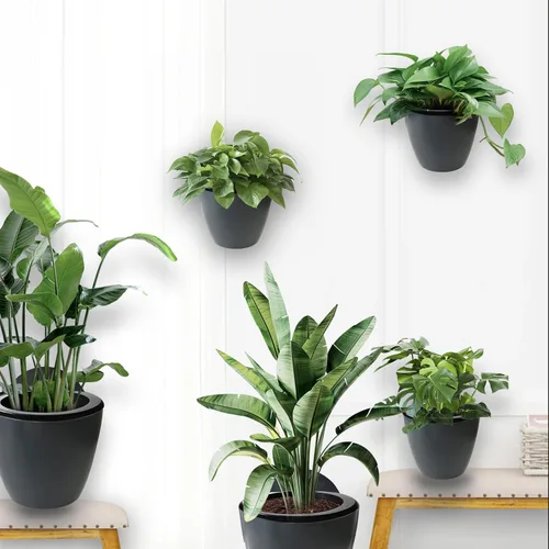 Miniatura 7 de Paquete de 7 macetas de plástico con riego automático para colgar en la pared, tamaño de 7 pulgadas con 7 ganchos de repuesto para plantas, flores