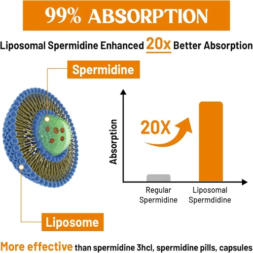 Miniatura 4 de 30mg Suplemento de Espermidina para Hombres y Mujeres, Alta Absorción, Más Potente que la Espermidina 3HCL - para Renovación Celular, Longevidad