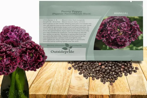 Miniatura 11 de Outsidepride Semillas de amapola de doble mezcla de peonía para plantar, 10,000 piezas anuales, tolerantes a la sequía y fáciles de cultivar