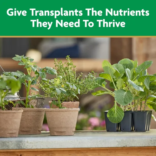 Miniatura 4 de Miracle-Gro Solución de inicio rápido para plantar y trasplante, para plantas de flores y vegetales, mezcla concentrada con agua, 48 onzas.