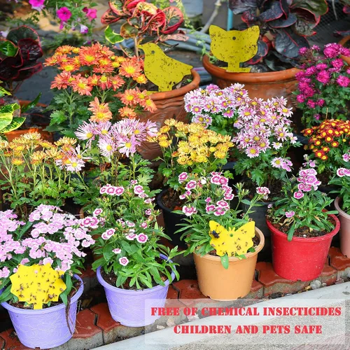 Miniatura 5 de 30 trampas amarillas para moscas de la fruta para interiores, trampas adhesivas para mosquitos de hongos para plantas, trampas de mosquitos