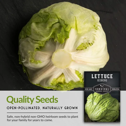 Miniatura 7 de Paquete de 1 semilla de lechuga iceberg para plantar, paquete con instrucciones para cultivar lechuga crujiente en tu huerto casero, variedad