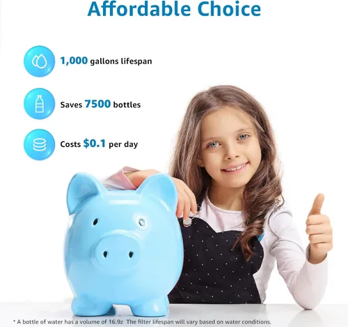 Miniatura 8 de AQUA CREST Filtro de agua con flúor, repuesto para elementos de reducción de flúor Berkey® PF-2®, sistema de filtración por gravedad Berkey®