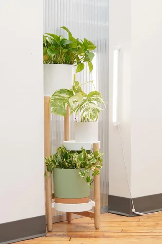 Miniatura 6 de Soltech Solutions Grove™ - Luz LED para cultivo, debajo del gabinete/estantería o montada en la pared para plantas de interior y hierbas, control