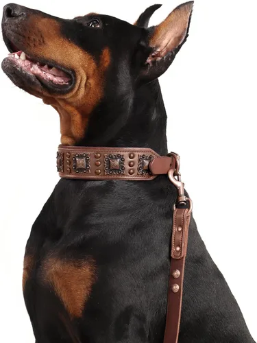 Miniatura 7 de PET ARTIST Collar de Perro de Cuero Acolchado Mejorado, Collares de Perro de Cuero Genuino de 2 Pulgadas de Ancho con Remache Tachonado Resistente