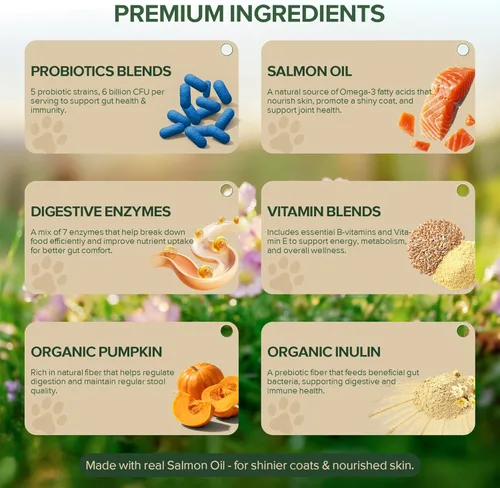 Miniatura 3 de Probióticos para Perros - Probióticos para perro para levadura, piel con picazón y oídos con picazón, salud digestiva, alivio de diarrea, apoyo