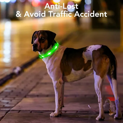 Miniatura 2 de Weesiber Collares de perro con luces LED recargables, luces reflectantes ajustables para perros para caminar por la noche (verde, S)