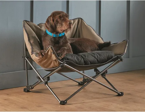 Miniatura 5 de Guide Gear Cama portátil acolchada para mascotas; sofá elevado para perros al aire libre, cuna marrón