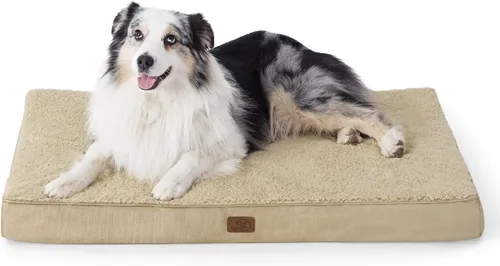 Miniatura 67 de Bedsure Camas para Perros Tamaño Grande - Cómodas Camas Planas para Mascotas con Funda Lavable Extraíble, Alfombrilla de Espuma Ortopédica