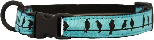 Miniatura 30 de RC Pets Kitty Breakaway - Collar para gatos, Cat-titude