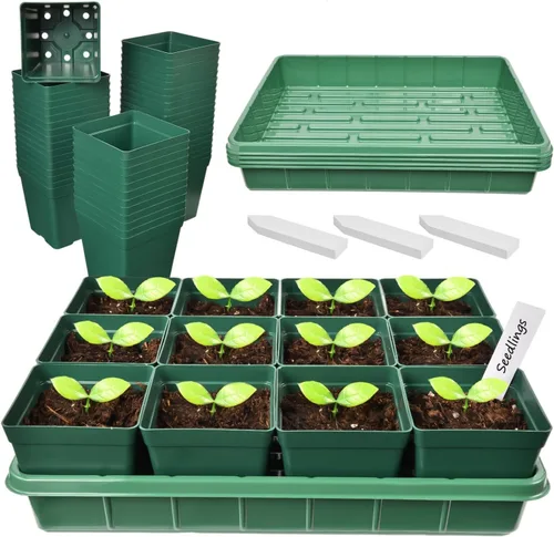 June Fox 60 macetas pequeñas para plantas, kit de 5 bandejas de inicio de semillas, macetas de plástico de 3.3 pulgadas con bandejas de inicio de