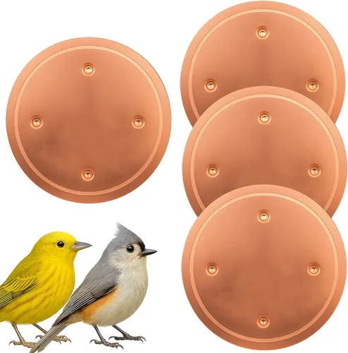4 discos de purificación de baño de cobre para pájaros, 0.024 in reforzado 99.99% cobre puro limpiador de baño para pájaros interior y exterior, 4