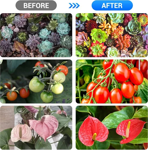 Miniatura 4 de Tiras de luces LED de cultivo para plantas de interior, 3 modos de trabajo y 10 niveles regulables, luces de plantas con temporizador de ciclo