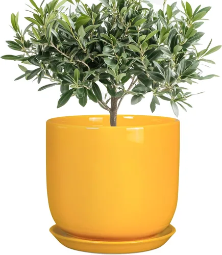 Miniatura 51 de Maceta de Cerámica para Plantas de Interior de 5 Pulgadas - Maceta Redonda para Plantas Suculentas con Agujero de Drenaje y Platillo, Decoración