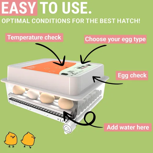 Miniatura 2 de OBI-36 Incubadora de huevos para incubar - 36 huevos - Control estable de temperatura y humedad con aislamiento Eggloo, Candler - Ideal