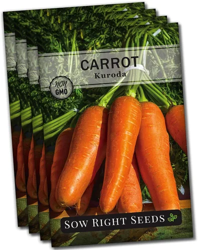 Miniatura 9 de Sow Right Seeds - Semillas de zanahoria Kuroda para plantar - Paquete de reliquia sin OMG con instrucciones para plantar un huerto casero - Ideal