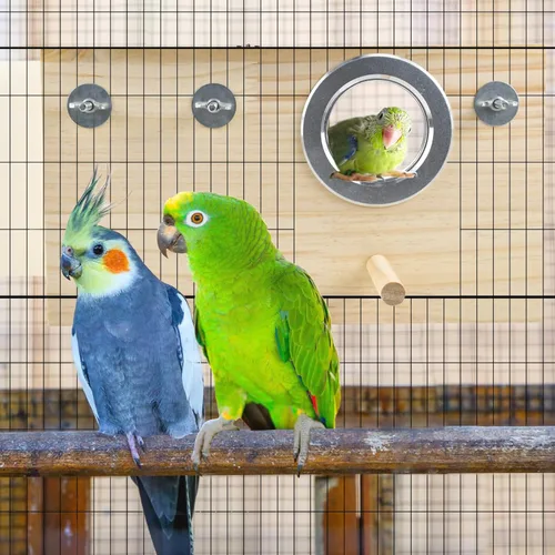 Miniatura 7 de Caja anidadora de periquitos para cacatúas, pino natural, nido de pájaros, caja de cría de pájaros, caja de acrílico transparente para pájaros