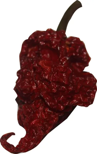 Miniatura 2 de Red Tail Scorpion Chili Peppers 10 cápsulas secas de semillas de Trinidad más 2 gratis, más picante que el pimiento fantasma