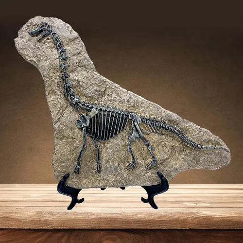 Miniatura 10 de XINDAM Modelo de estatua de fósil de dinosaurio de resina, esqueleto simulado para exhibición en hogar y oficina, caja decorativa de manualidades