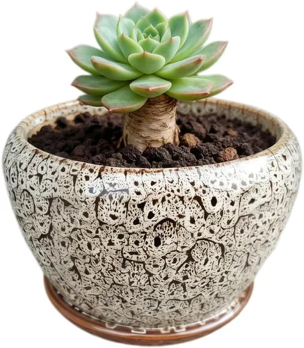 Miniatura 9 de Bonita maceta circular de cerámica para decoración del hogar y jardín, suculentas, cactus, maceta no incluida (azul, 3.19 pulgadas)