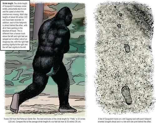 Miniatura 4 de Bigfoot Calendario de pared 2024-12 meses – 11 x 19 pulgadas abierto – Ideal para la oficina o cabina – Regalo divertido para los fanáticos