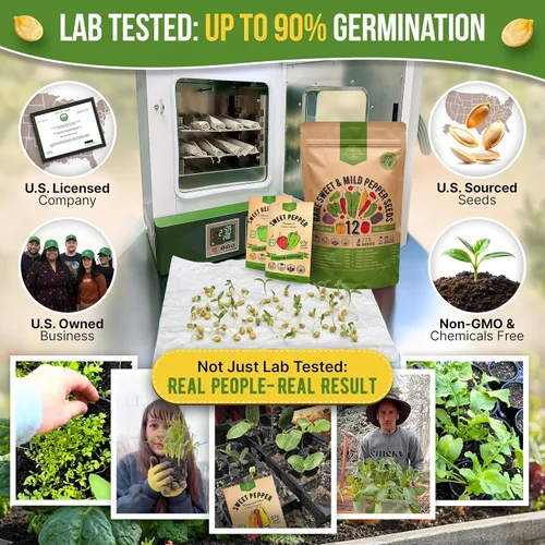 Miniatura 2 de Organo Republic Paquete variado de 12 semillas raras de pimiento dulce y suave, más de 770 semillas de pimienta de reliquia sin OMG para jardinería