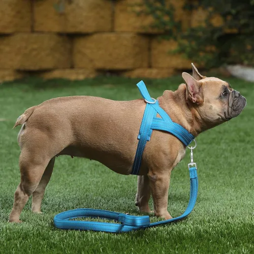 Miniatura 5 de Arnés para perro sin tirón de Plutus Pet con malla transpirable acolchada, ajustable, reflectante, a prueba de fugas, arnés para perros