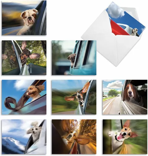 Miniatura 11 de The Best Card Company - 10 tarjetas de perro en blanco surtidas (4 x 5.12 pulgadas) - Adorables tarjetas de notas de animales en caja para todas