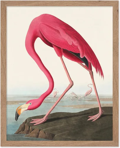 Miniatura 61 de Poster Master Vintage James Audubon Póster - Impresión Retro de Cuervo - Arte de Aves de América - Arte de Aves - Regalo para Hombres, Mujeres