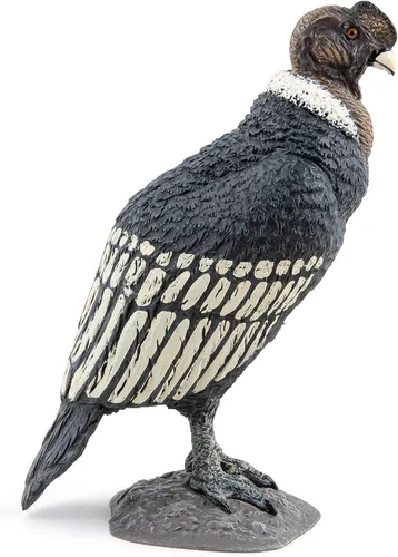 Miniatura 5 de Papo - Figura realista de cóndor - A partir de 3 años - Colección Wild Life - Juego educativo de aves de presa - Juguete de idea de regalo
