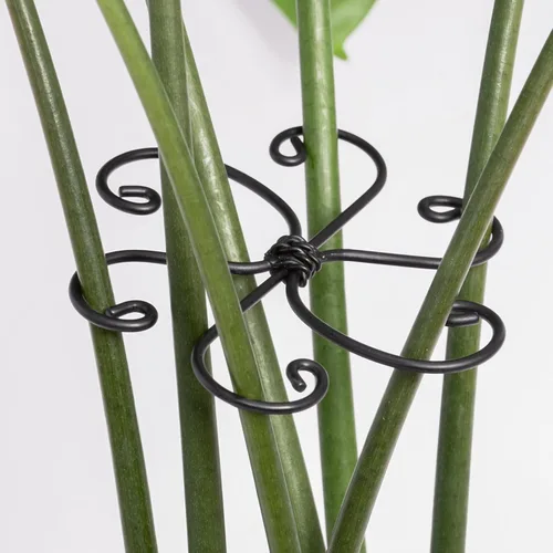 Yohsnor Monstera - Gancho de soporte para plantas, 4.1 x 4.1 pulgadas, 5 unidades, sistema de soporte de tallo ajustable duradero, protección suave