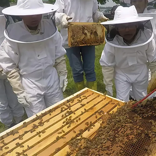 Miniatura 4 de Luwint Trajes de apicultura ventilados de cuerpo completo para niños, traje de apicultor de abeja a prueba de picaduras con guantes protectores