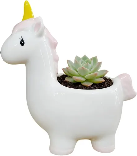 Miniatura 12 de Maceta de cerámica en forma de animal - Decoración única y encantadora para el hogar (vaca)