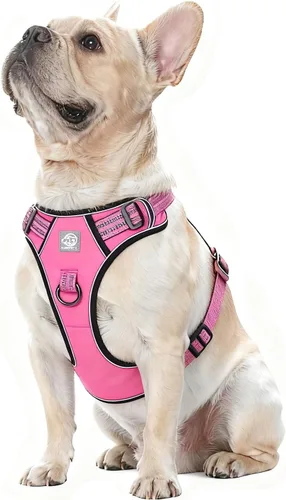 Miniatura 10 de Arnés de chaleco para perros - Acolchado ajustable reflectante con diseño fácil de poner y accesorio de correa (S, negro)