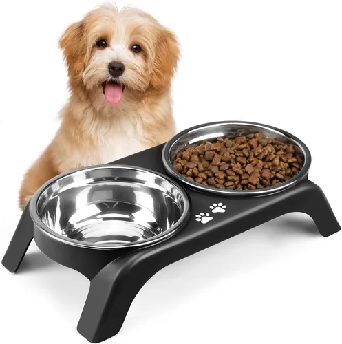 Tazones elevados para gatos, soporte elevado antivómitos con 2 tazones gruesos de acero inoxidable, antideslizantes, para gatos y cachorros pequeños