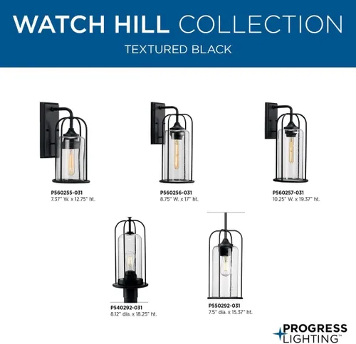 Miniatura 9 de Progress Lighting Watch Hill Collection - Farol de pared grande con textura de cristal transparente negro con textura de 1 luz para casa de campo