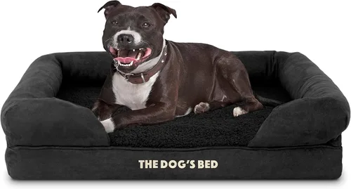 Miniatura 38 de The Dog's Bed - Cama ortopédica de espuma viscoelástica para perros medianos, colchón de soporte de alta densidad, entrada frontal baja, funda negro