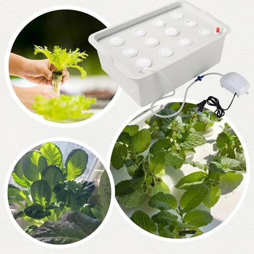 Miniatura 6 de NATGAI Kit de cultivo de sistema hidropónico con bomba de aire, 12 agujeros, caja de cultivo sin suelo, caja de jardín para hierbas, lechuga