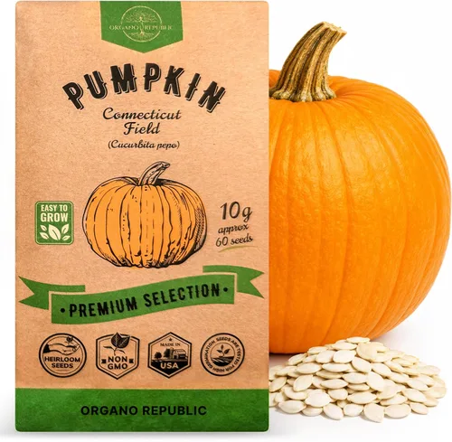 Organo Republic Paquete de semillas de calabaza Connecticut Field, 10G – Más de 60 semillas de calabaza autóctonas sin OMG para plantar verduras en