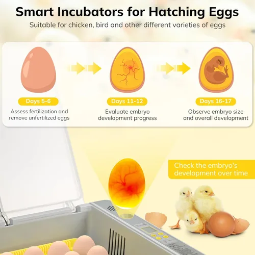 Miniatura 3 de Incubadora de huevos 36-60 con giro automático de huevos y control de humedad, incubadora de huevos de pollo con pantalla digital, incubadoras