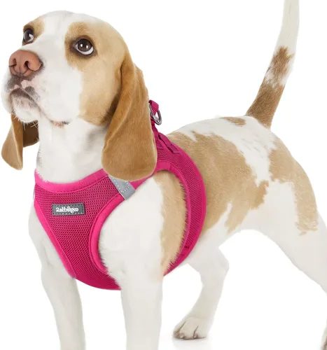 Miniatura 31 de rabbitgoo Arnés para perro pequeño, chaleco de malla suave para cachorros con hebilla de seguridad, arnés reflectante transpirable para mascotas